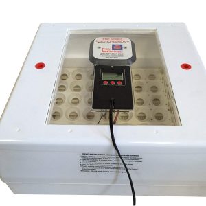 Digital Circulated Air Incubators with Automatic Egg Turner