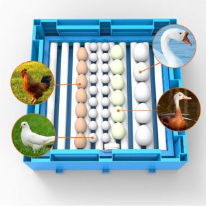 64/128/192/256 Egg Transparent Hatching Machine Automatic Intelligent Dual Power