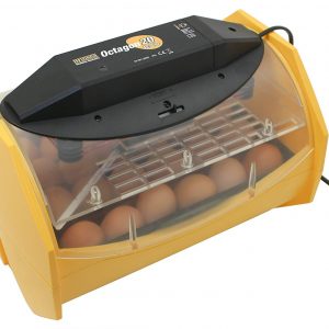 Manual Eggs Incubator for Hatching 24 Chicken Eggs or Equivalent