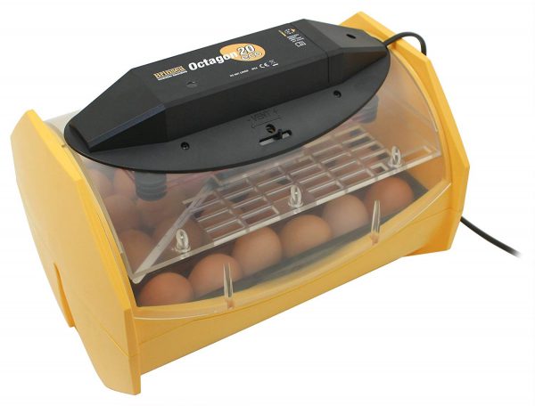 Manual Eggs Incubator for Hatching 24 Chicken Eggs or Equivalent
