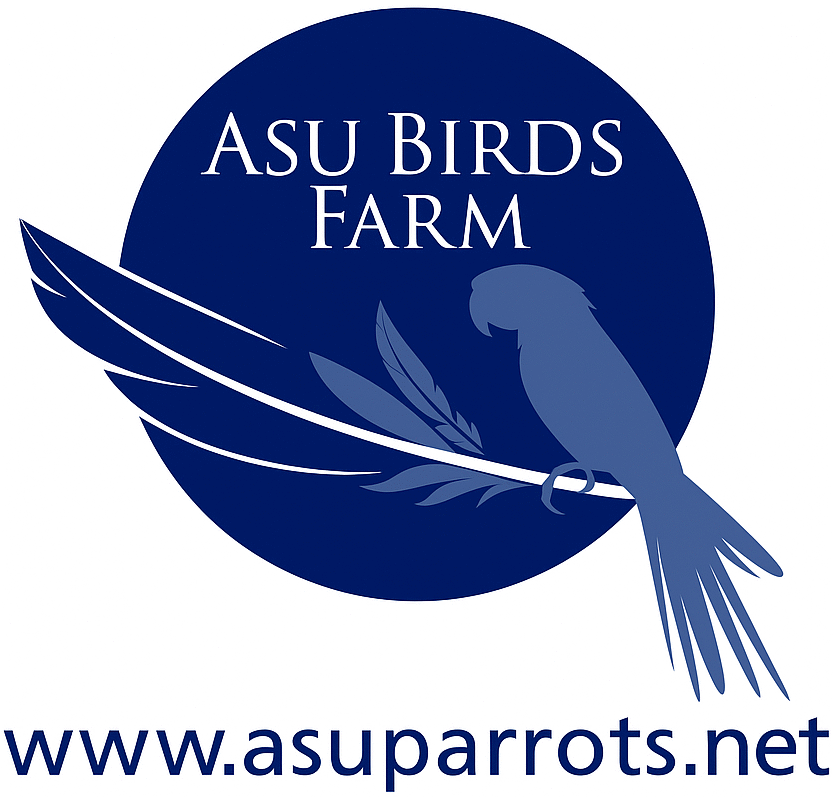Parrots For Sale